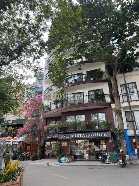 Bán nhà 6T thang máy Trần Quang Diệu, Đống Đa, ô tô đỗ cổng, xây mới, 38m, 14.5 tỷ