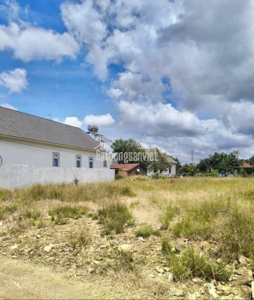 Bán nhà vườn 457m2 Phi nôm - hiệp thạnh - Đức Trọng - Lâm Đồng 2,6 tỷ