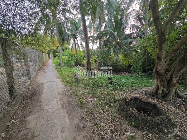 Bán thu hồi vốn lô đất thổ khu nhà ở Thăng Long House giá 1,65 tỷ