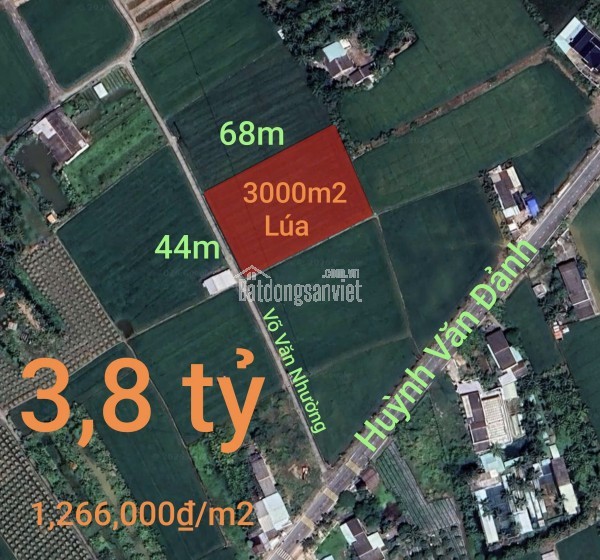 Bán đất lúa chuyển thổ xã Vàm Cỏ gần Quốc Lộ 50B giá 3,8 tỷ