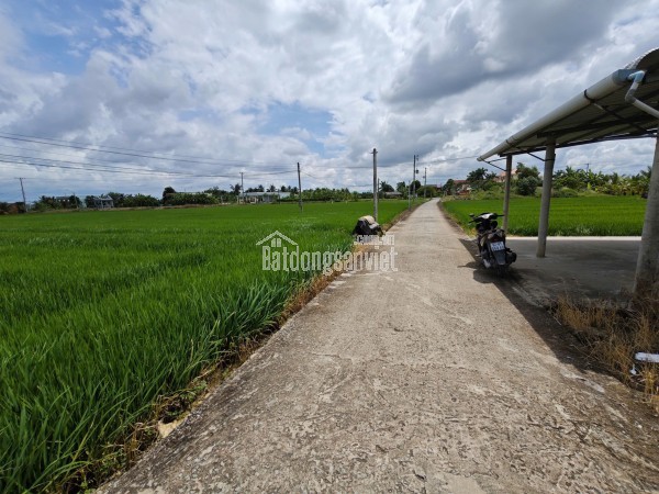 Bán đất lúa chuyển thổ xã Vàm Cỏ gần Quốc Lộ 50B giá 3,8 tỷ