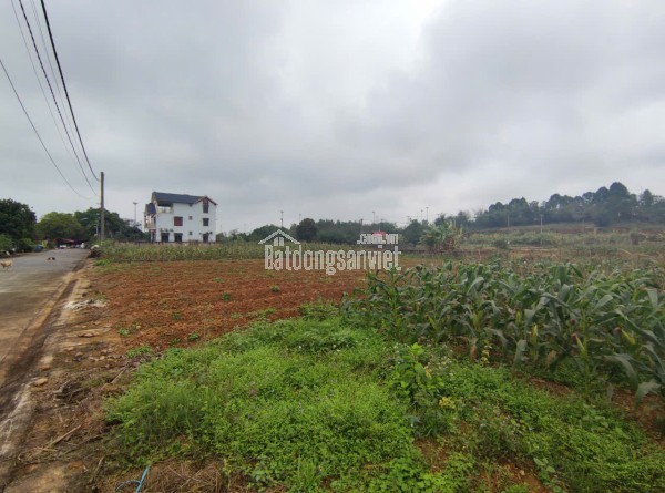 Đất tái định cư Đồng Doi – điểm sáng đầu tư gần ĐHQG Hà Nội