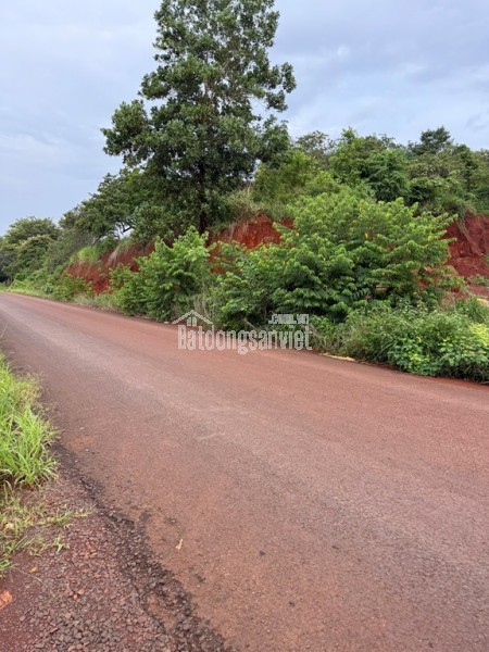 NHÀ ĐẸP GIÁ TỐT- CẦN BÁN Tại Phường Cái Khế, Ninh Kiều, Cần Thơ