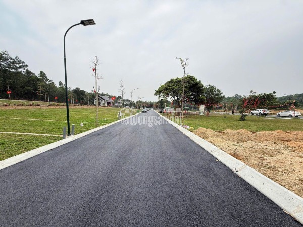 Bán lô góc 166m2 mặt tiền 7m tại quất lâm sát Flamingo hơn 1 tỷ