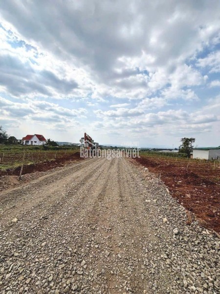 Bán đất 130m2 tổ 34 liên nghĩa - Đức Trọng - Lâm Đồng 1 tỷ 650 triệu