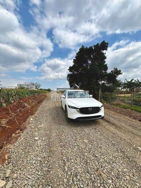 Bán đất 130m2 tổ 34 liên nghĩa - Đức Trọng - Lâm Đồng 1 tỷ 650 triệu