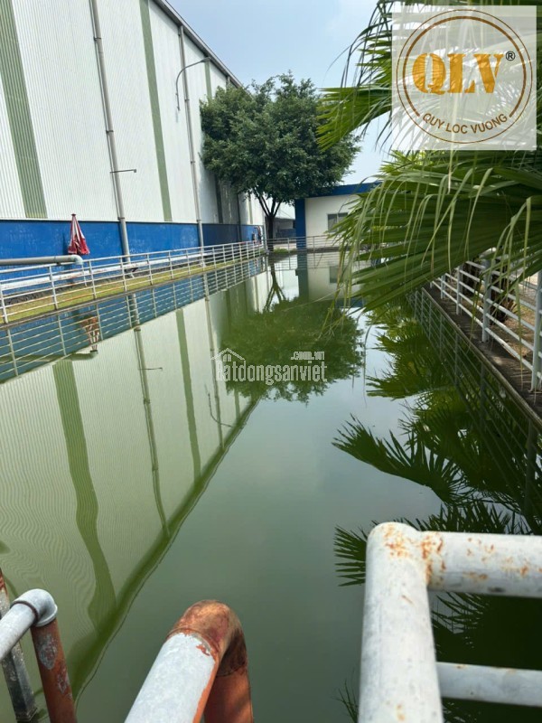 Cho thuê kho, nhà xưởng tại Phường Dĩ An, Thị xã Dĩ An, Bình Dương giá 143 Ngàn