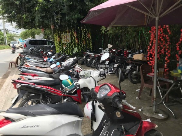 Sang quán cafe sân vườn, Tam Bình, Phường Tam Bình, 38x31m, 29tr/th