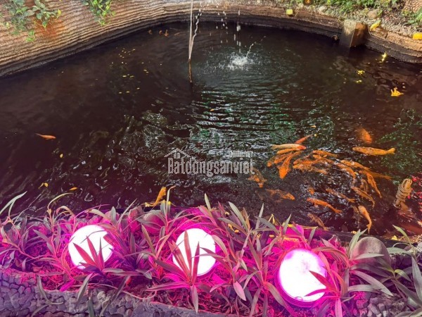 Sang quán cafe sân vườn, Tam Bình, Phường Tam Bình, 38x31m, 29tr/th