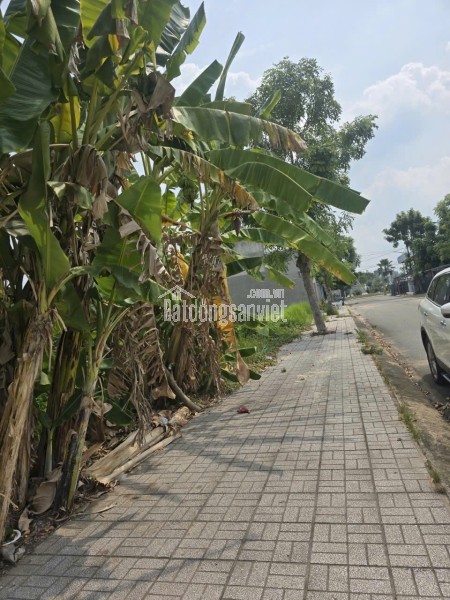 CHÍNH CHỦ CẦN BÁN LÔ ĐẤT 2 MẶT TIỀN ĐƯỜNG CÓ VỊ TRÍ ĐẸP TẠI XÃ ĐỨC LẬP HẠ - HUYỆN ĐỨC HÒA - LONG