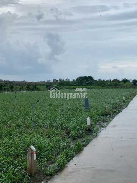 Bán gấp đất nền thổ cư Bà Lẫy Sổ sẵn công chứng ngay