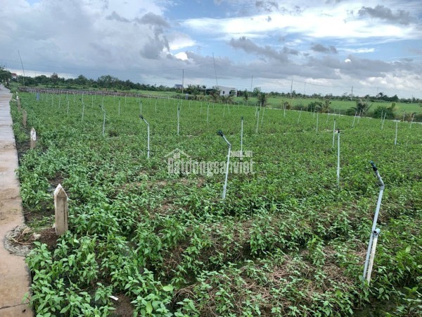 Bán gấp đất nền thổ cư Bà Lẫy Sổ sẵn công chứng ngay