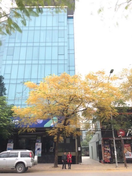 Tòà nhà văn phòng 28 Xuân La cho thuê tầng 5 làm văn phòng.