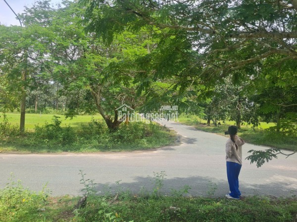 Bán đất Dầu Tiếng Bình Dương – Đất đẹp giá tốt cho nhà đầu tư