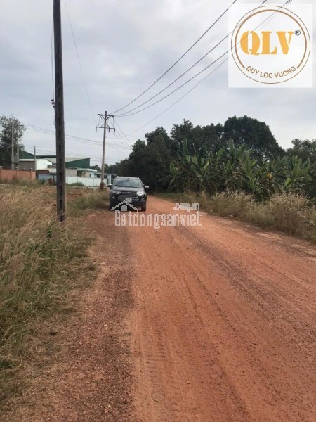 Bán đất tại Xã Phước Hoà, Huyện Phú Giáo, Bình Dương giá 65 tỷ