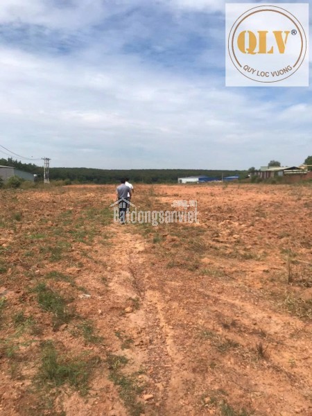 Bán đất tại Xã Phước Hoà, Huyện Phú Giáo, Bình Dương giá 65 tỷ