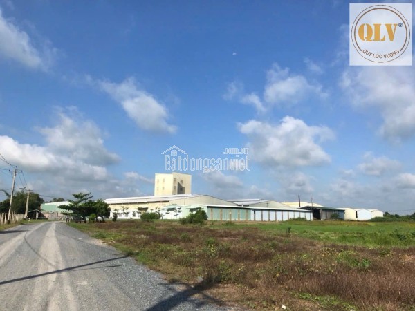 Bán kho, nhà xưởng tại Thị trấn Gò Dầu, Huyện Gò Dầu, Tây Ninh giá 399 tỷ  11,65HA