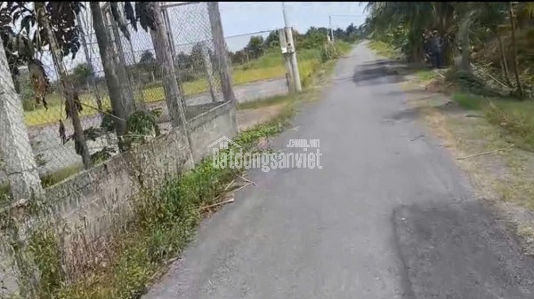 Bán Nhà Vườn 12.000m2, Giá 31 Tỷ, Kênh 12, Xã Lê Minh Xuân Bình Chánh TPHCM