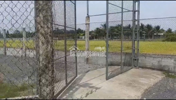 Bán Nhà Vườn 12.000m2, Giá 31 Tỷ, Kênh 12, Xã Lê Minh Xuân Bình Chánh TPHCM