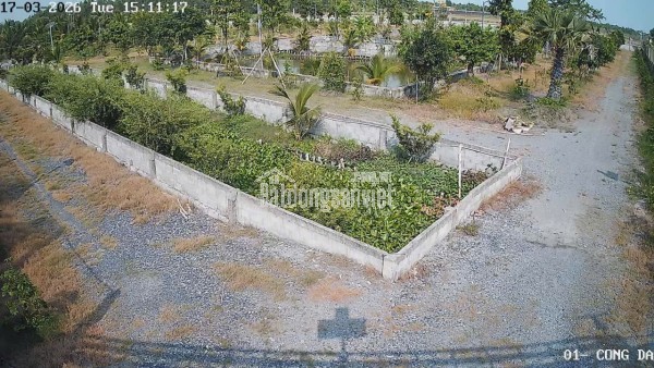 Bán Nhà Vườn 12.000m2, Giá 31 Tỷ, Kênh 12, Xã Lê Minh Xuân Bình Chánh TPHCM