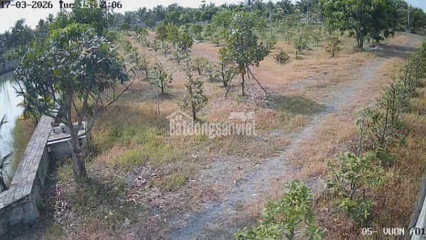 Bán Nhà Vườn 12.000m2, Giá 31 Tỷ, Kênh 12, Xã Lê Minh Xuân Bình Chánh TPHCM