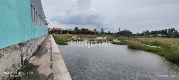 Bán gấp lô lúa chuyển thổ phân lô giá đầu tư 3,1 tỷ