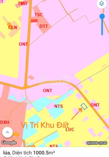 Bán gấp lô lúa chuyển thổ phân lô giá đầu tư 3,1 tỷ