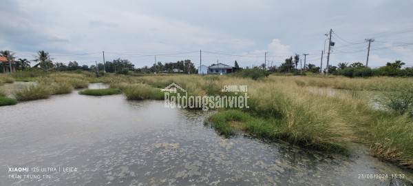 Bán gấp lô lúa chuyển thổ phân lô giá đầu tư 3,1 tỷ