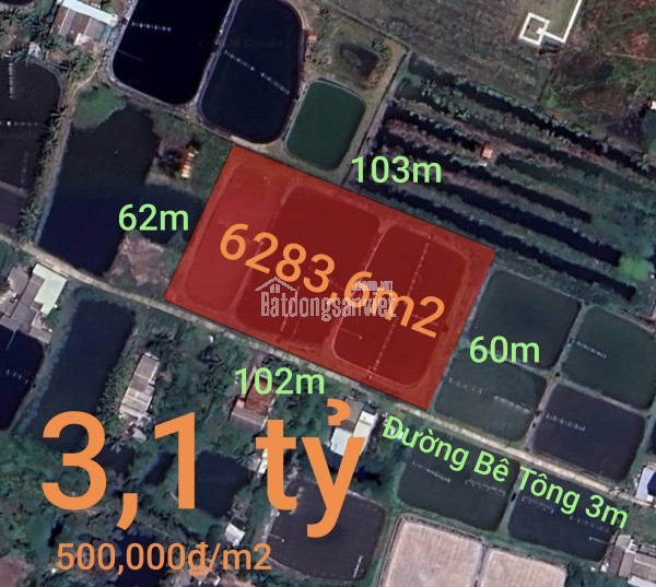 Bán gấp lô lúa chuyển thổ phân lô giá đầu tư 3,1 tỷ
