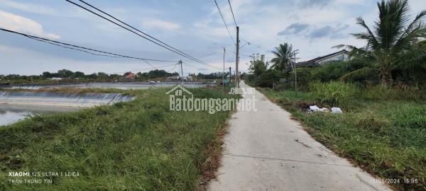 Bán gấp lô lúa chuyển thổ phân lô giá đầu tư 3,1 tỷ