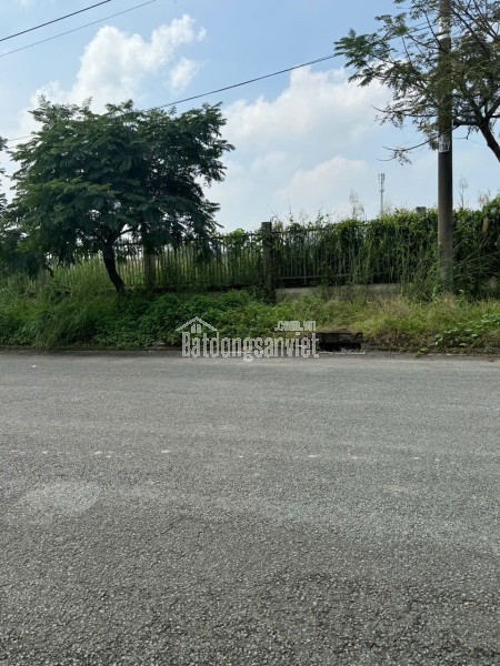 🍍 BIỆT THỰ SIÊU ĐẸP MT PHẠM VĂN SÁNG – FULL THỔ CƯ 300M² 🔥