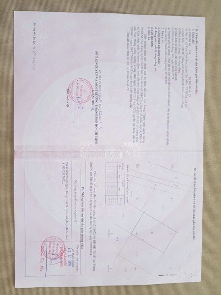 🍍 BIỆT THỰ SIÊU ĐẸP MT PHẠM VĂN SÁNG – FULL THỔ CƯ 300M² 🔥