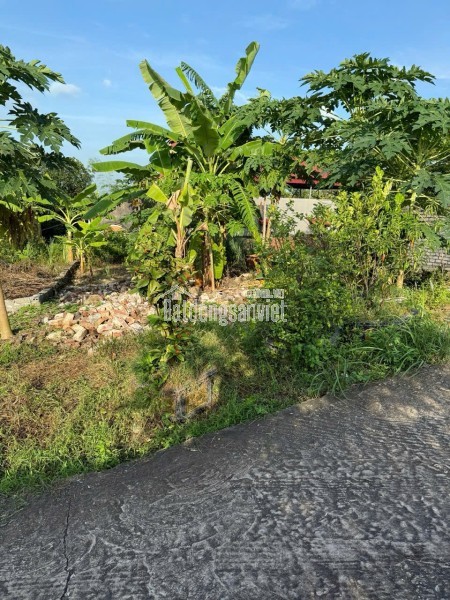 Bán Đất 107m2- Lô góc hai mặt tiền Tại Đồng việt, Yên Dũng, Bắc Giang. Giá chỉ 680tr