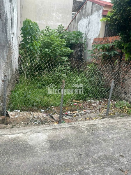 🌿 BÁN 56,2M ĐẤT GẦN HỒ – KHÔNG GIAN SỐNG LÝ TƯỞNG 🌿 ĐỊCH TRUNG _ LIÊN MINH _ HÀ NỘI  🌿