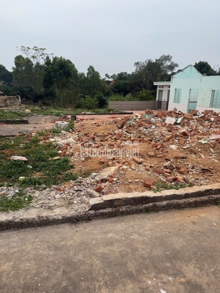 Bán đất đấu giá Xuân Phú, Yên Dũng, Bắc Giang: 90m2 - MT 5m. Đường 32m - giá 3,9 tỷ