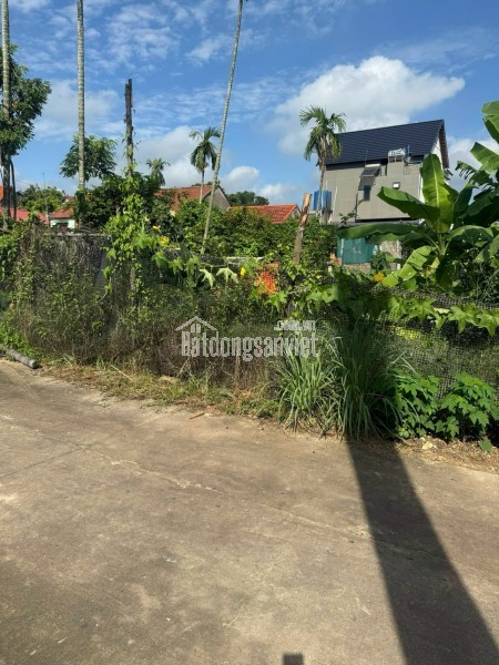 Bán đất đấu giá Xuân Phú, Yên Dũng, Bắc Giang: 90m2 - MT 5m. Đường 32m - giá 3,9 tỷ