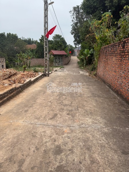 Bán đất đấu giá Xuân Phú, Yên Dũng, Bắc Giang: 90m2 - MT 5m. Đường 32m - giá 3,9 tỷ