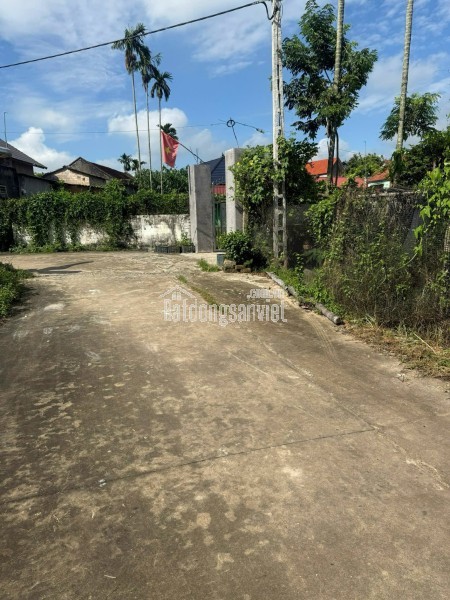 Bán đất đấu giá Xuân Phú, Yên Dũng, Bắc Giang: 90m2 - MT 5m. Đường 32m - giá 3,9 tỷ