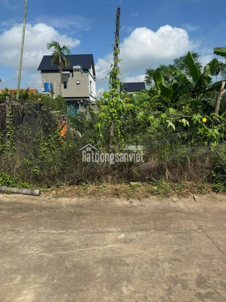 Bán đất đấu giá Xuân Phú, Yên Dũng, Bắc Giang: 90m2 - MT 5m. Đường 32m - giá 3,9 tỷ