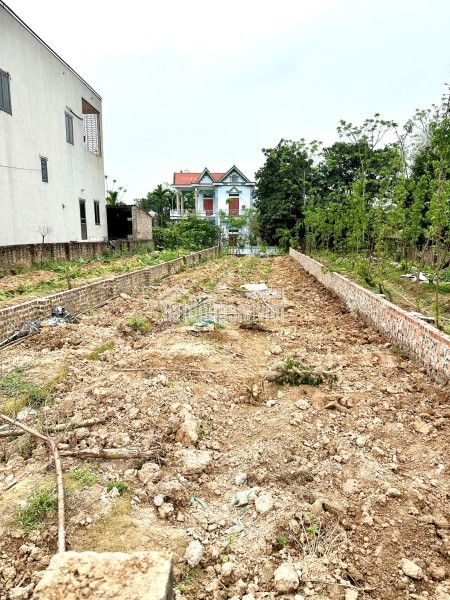 CHÍNH CHỦ GỬI TIN BÁN ĐẤT TÂY ĐẰNG – BA VÌ, HÀ NỘI