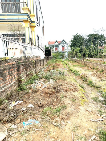 CHÍNH CHỦ GỬI TIN BÁN ĐẤT TÂY ĐẰNG – BA VÌ, HÀ NỘI