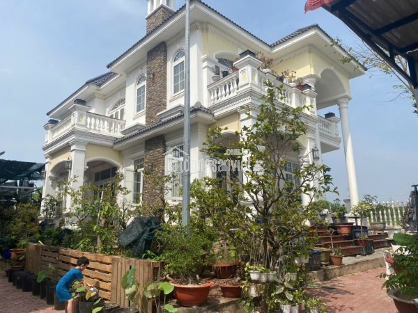 BÁN ĐẤT (61x72) + NHÀ XƯỞNG MẶT TIỀN ĐƯỜNG THANH NIÊN, BÀ ĐIỂM (XTT cũ), HÓC MÔN