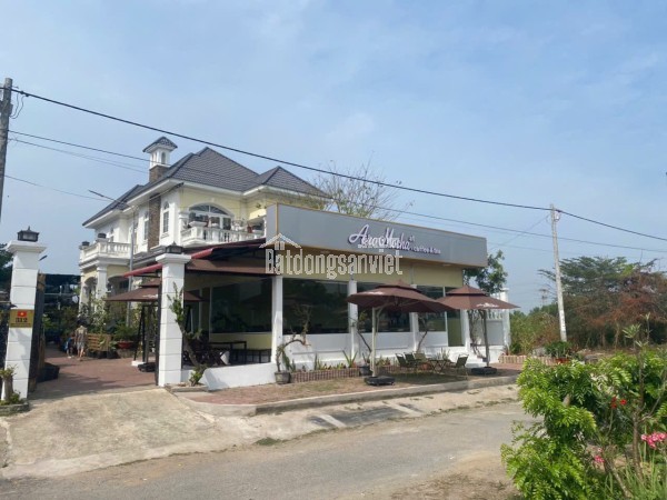 BÁN ĐẤT (61x72) + NHÀ XƯỞNG MẶT TIỀN ĐƯỜNG THANH NIÊN, BÀ ĐIỂM (XTT cũ), HÓC MÔN