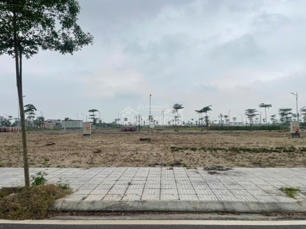 LÔ KHE THOÁNG DỰ ÁN QUỲNH NGỌC - THÁI BÌNH CŨ - GIÁ CHỈ 1TY5XX - KHÔNG LỖI, GẦN CHỢ