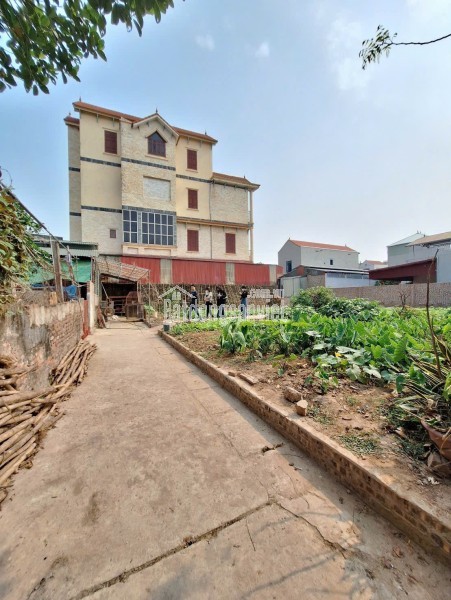 QUÁ ĐẸP 62.7M ĐẤT ĐƯỜNG THÔNG THƯỢNG MỖ - ĐAN PHƯỢNG