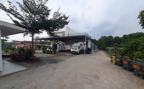 BÁN ĐẤT MẶT TIỀN THỚI AN 4 - 6.5X14M - 6.19T