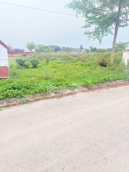 Bán đất Trung Tâm TP Bắc Giang, Tỉnh Bắc Giang. 108m2 - MT 6,5m. Kinh doanh đỉnh. Giá 7,9 tỷ