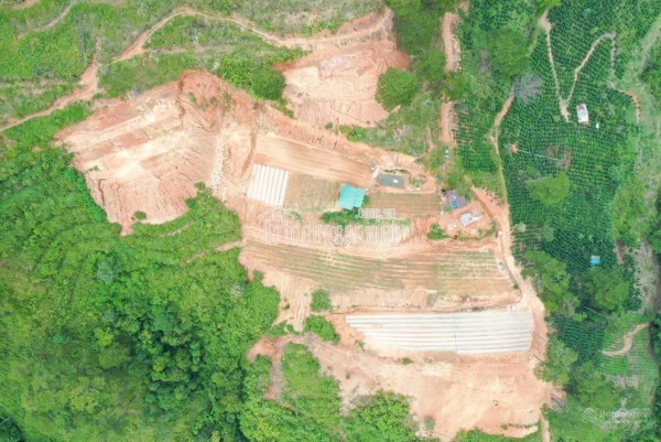 Bán đất tại xã Đạ Sar, Lạc Dương, Lâm Đồng, 400 triệu/1000m2 đẹp, nhiều tiện ích