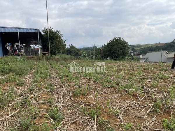 Đất ven sông Bình Mỹ 300m2 thổ cư đối diện Bình Dương - Chính chủ.