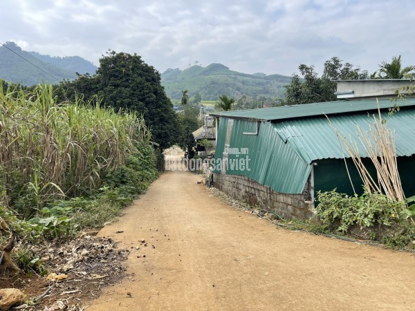 Đất ven sông Bình Mỹ 300m2 thổ cư đối diện Bình Dương - Chính chủ.